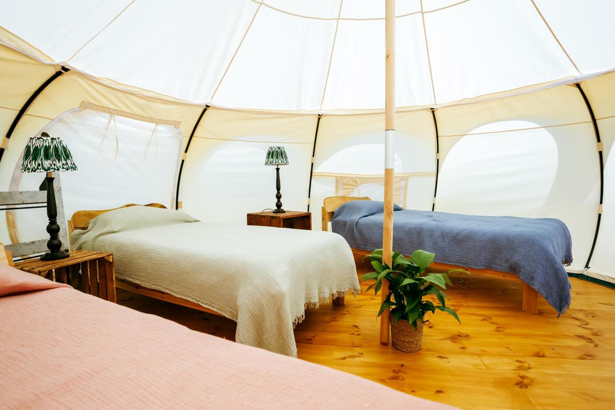 Luxury Glamping Retreat In Battle 빌라 외부 사진